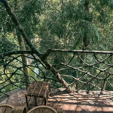 Panchavadi Farm Stay Thekkady Exteriér fotografie