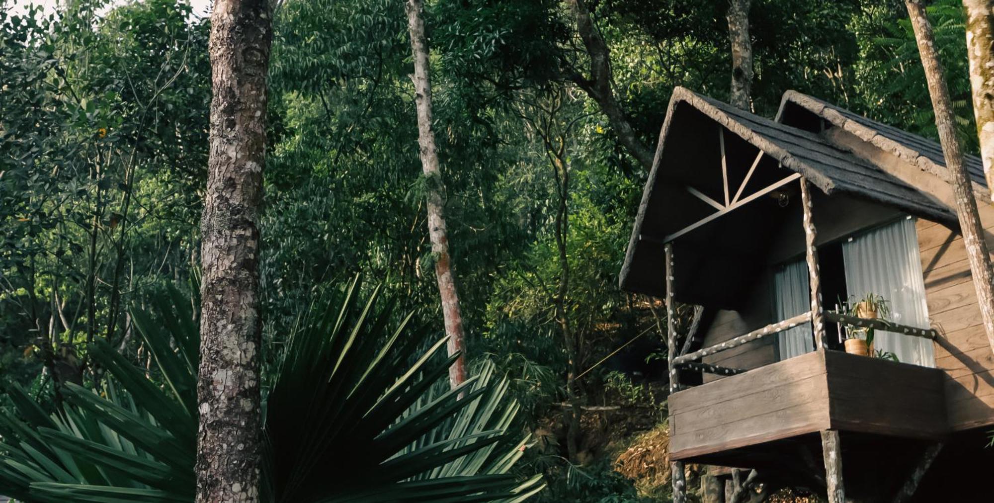 Panchavadi Farm Stay Thekkady Exteriér fotografie
